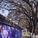 昆明旅游 缩略图 1