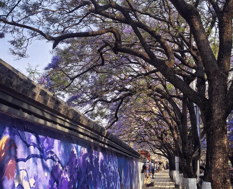 昆明旅游 1