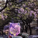 昆明旅游 缩略图 2