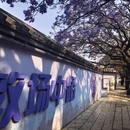 昆明旅游 缩略图 6