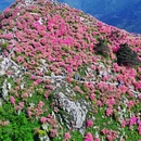 芜湖旅游 缩略图 11