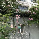 杭州旅游 缩略图 2