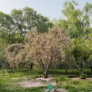 北京旅游 缩略图 8