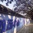 昆明旅游 缩略图 5