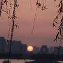 南京旅游 缩略图 6