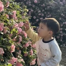 宁波旅游 缩略图 3