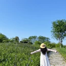 柳州旅游 缩略图 13
