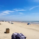 日照旅游 缩略图 4