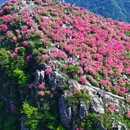 芜湖旅游 缩略图 9