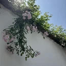 武汉旅游 缩略图 4