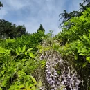 济南旅游 缩略图 3