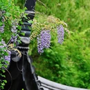 无锡旅游 缩略图 10