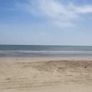 日照旅游 缩略图 7