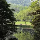 杭州旅游 缩略图 1