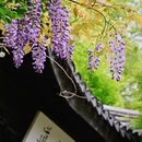 无锡旅游 缩略图 17