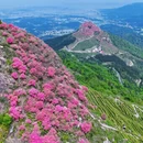芜湖旅游 缩略图 6