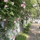 杭州旅游 缩略图 1