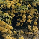 无锡旅游 缩略图 7