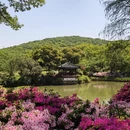 无锡旅游 缩略图 9