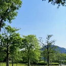 柳州旅游 缩略图 16