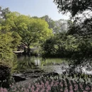 杭州旅游 缩略图 7