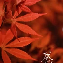 无锡旅游 缩略图 4