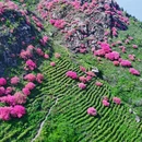 芜湖旅游 缩略图 4