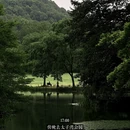 杭州旅游 缩略图 12