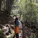 萍乡旅游 缩略图 3