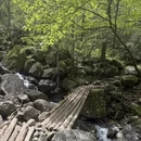 萍乡旅游 缩略图 4