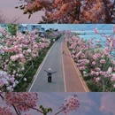 昆明旅游 缩略图 9