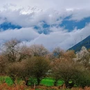 林芝旅游 缩略图 11
