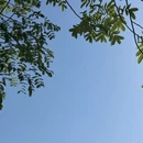 上海旅游 缩略图 10
