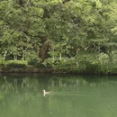 杭州旅游 缩略图 11