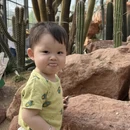广州旅游 缩略图 15