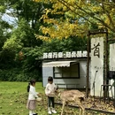成都旅游 缩略图 9