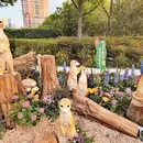 上海旅游 缩略图 12