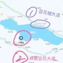 昆明旅游 缩略图 14