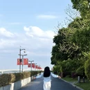 成都旅游 缩略图 3