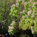 北京旅游 缩略图 5