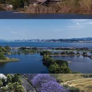 昆明旅游 缩略图 7