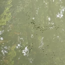 杭州旅游 缩略图 10