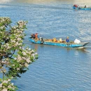 福州旅游 缩略图 2