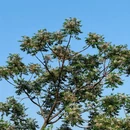 福州旅游 缩略图 11