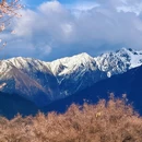 林芝旅游 缩略图 18