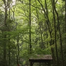 杭州旅游 缩略图 5