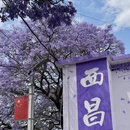 凉山旅游 缩略图 5