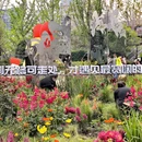 上海旅游 缩略图 3