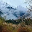林芝旅游 缩略图 12