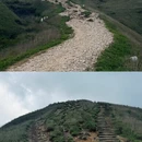 萍乡旅游 缩略图 11